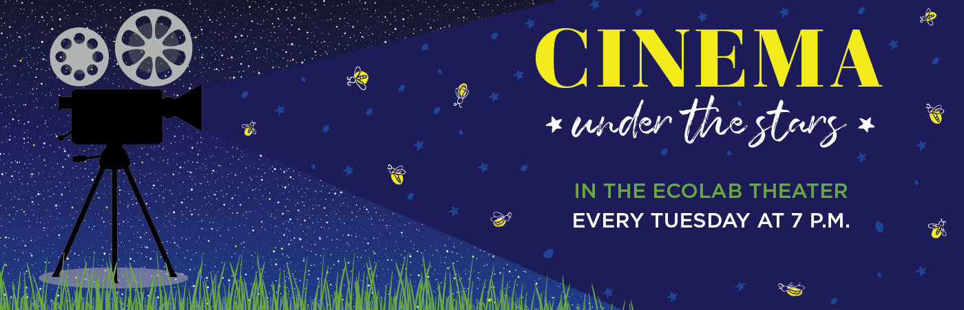 Cinema "Under the Stars"